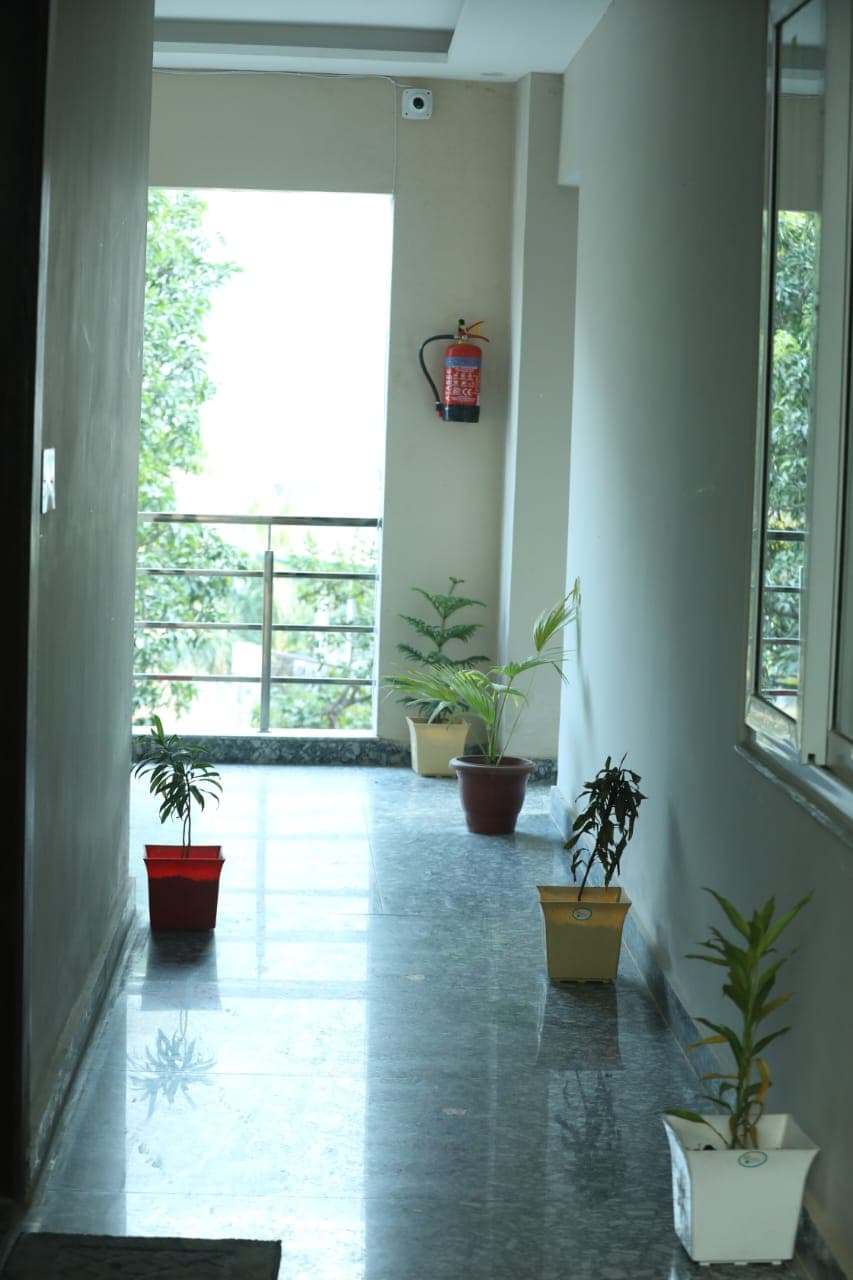 Bright plant-lined hallway at Nirvana Homestay